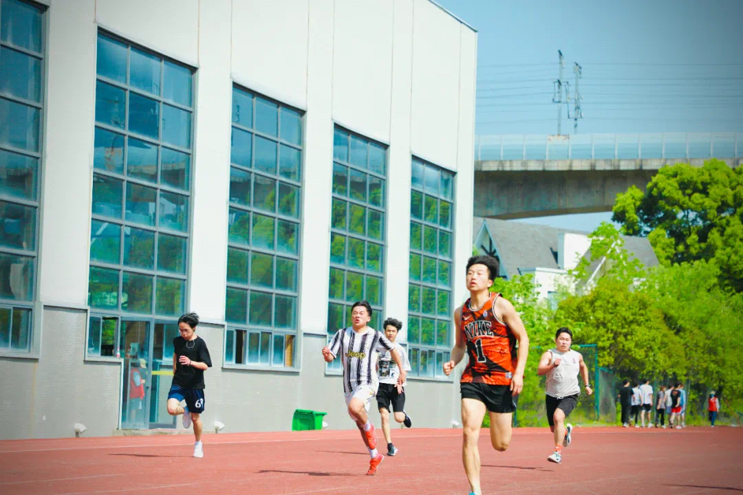 BA82E4AA0B2C073A4EBB5339359_6446D23D_3ADCB