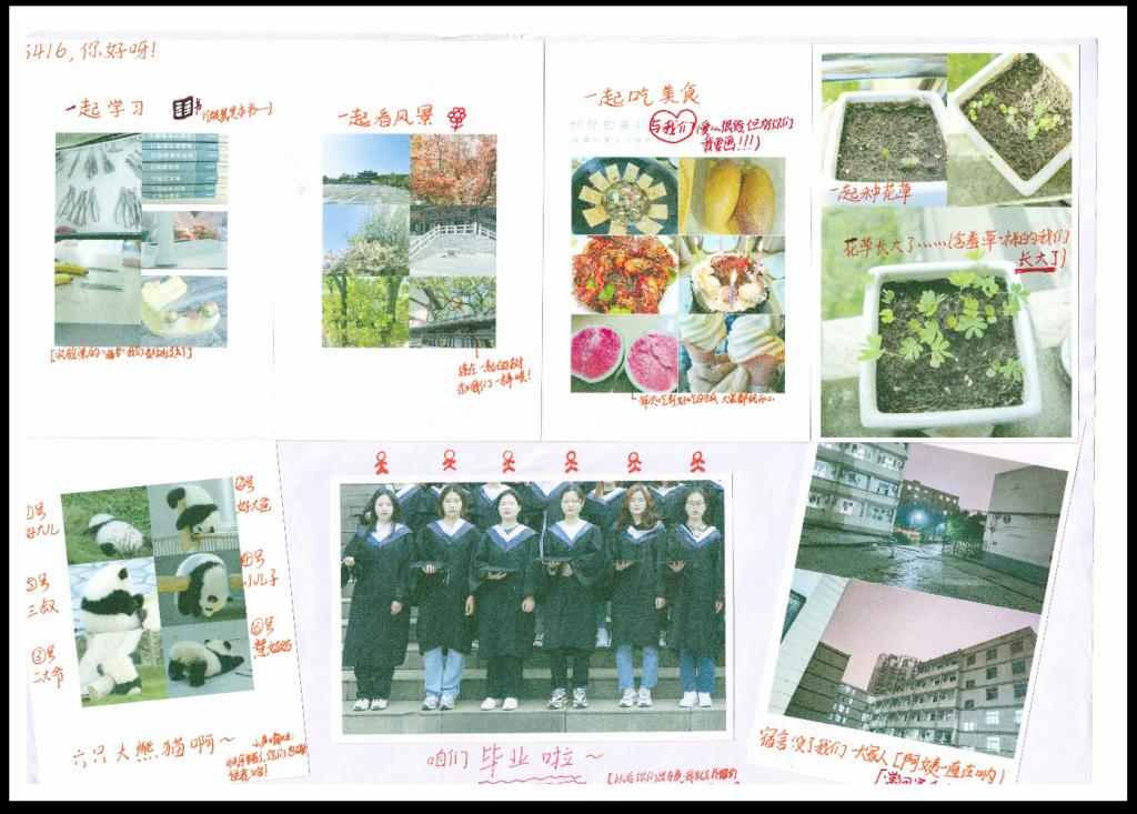 PP电子(中国)有限公司官网