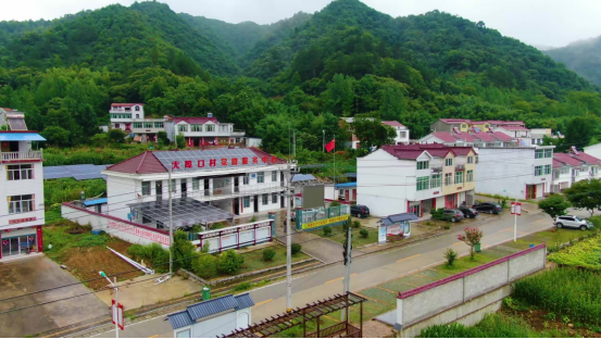 PP电子(中国)有限公司官网