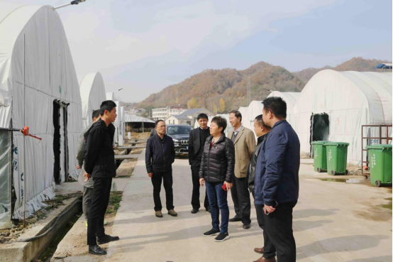 5D8A16FEBD6C8BAFA1D2525F5DE_53E5E32C_C810E.png?e=