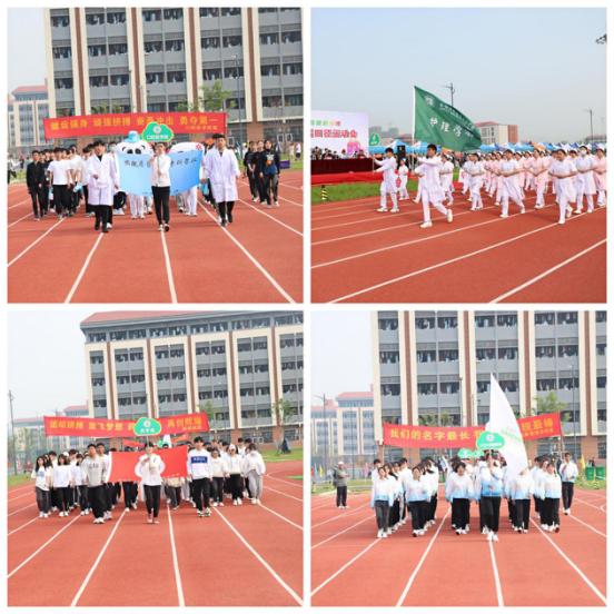 43AE06175B7280402D0ACDD7F2E_4B855673_F343.png?e=