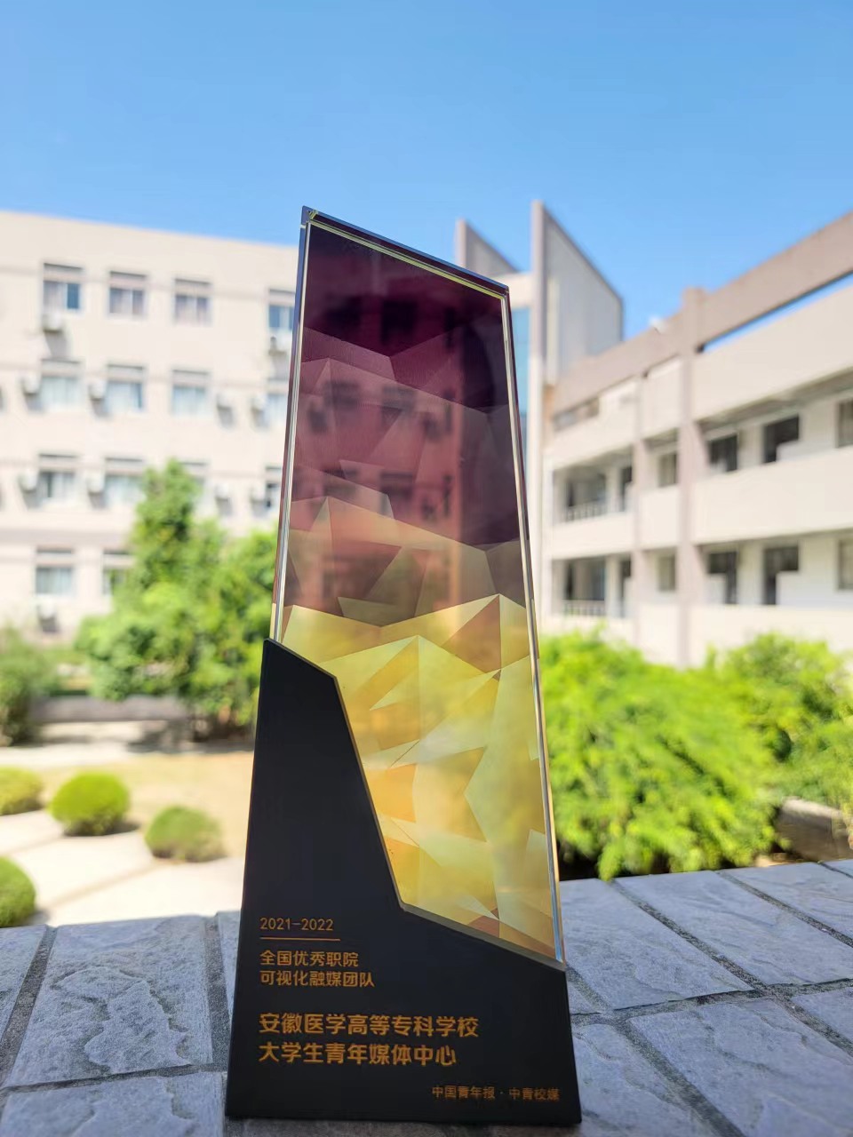 8BD55B927B5A959D0D4D403C241_66558A20_2CD87